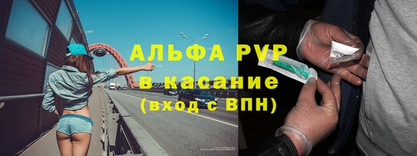 гидра Инта