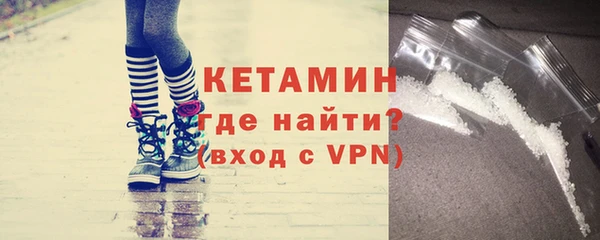 гидра Инта