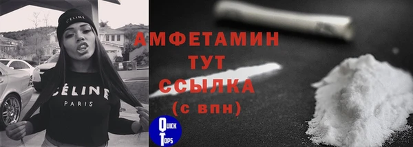 гидра Инта