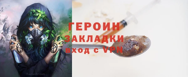 гидра Инта