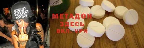 гидра Инта