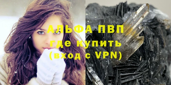 гидра Инта
