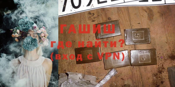 гидра Инта