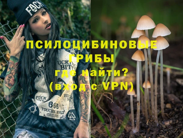 кокс Инсар