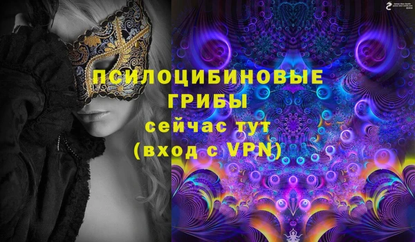 прущие крисы Каменногорск