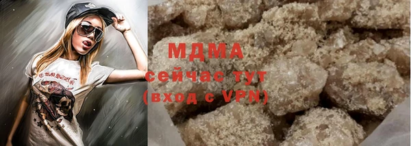 гидра Инта