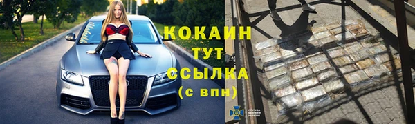 гидра Инта