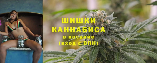 гидра Инта