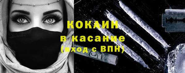 гидра Инта
