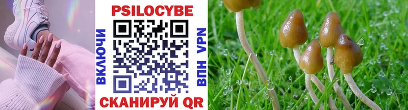 Купить где Тарко-Сале Псилоцибиновые грибы Psilocybine cubensis
