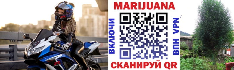 Конопля гибрид Купить где Тарко-Сале